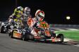 SODI - WORLD CHAMPION 2012  (ang.) ....